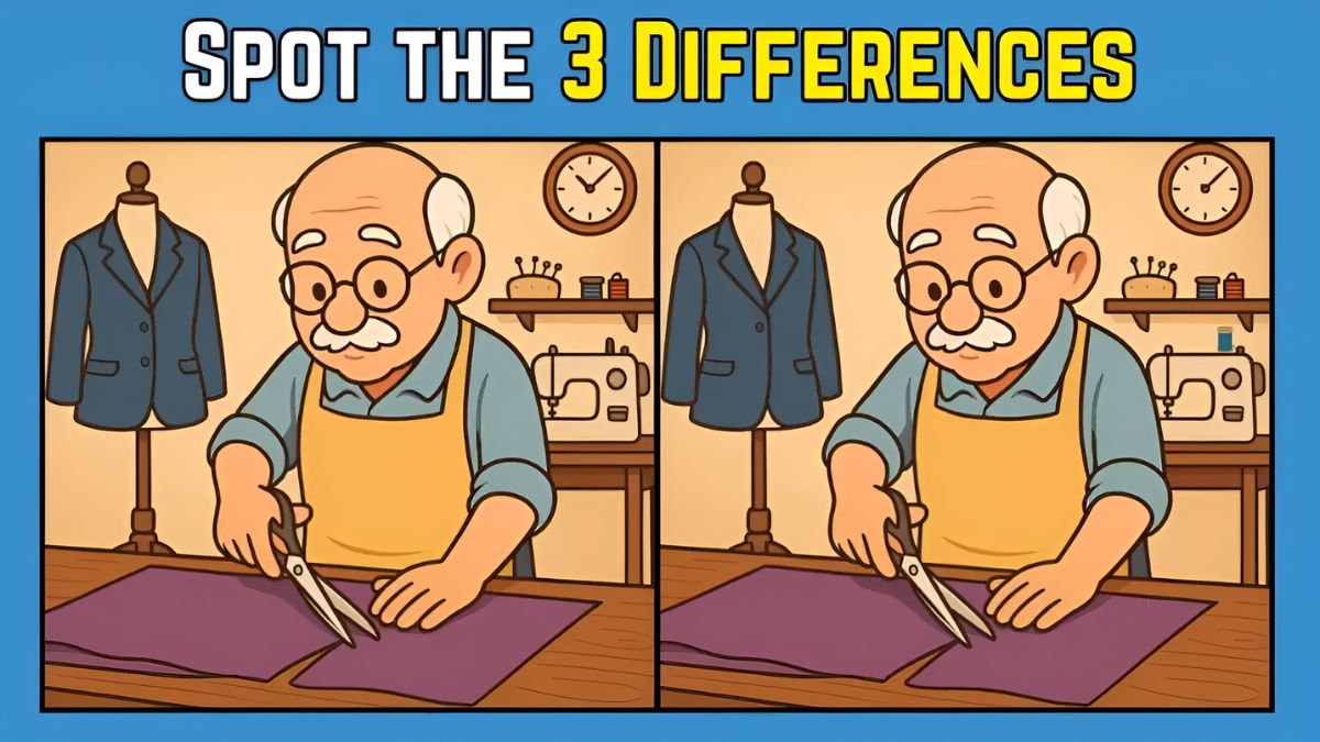 9-Second Challenge Can You Spot 3 Differences in the Tailor Cutting Cloth Image