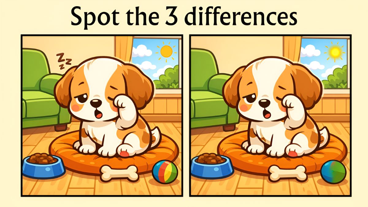 Spot the Difference Puzzle, lazy dog puzzle, brain teaser puzzle, optical illusion challenge, find the difference game,